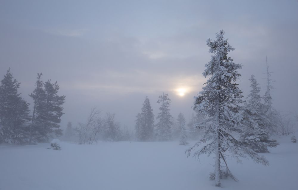 Photograph by Елена Хорохорина