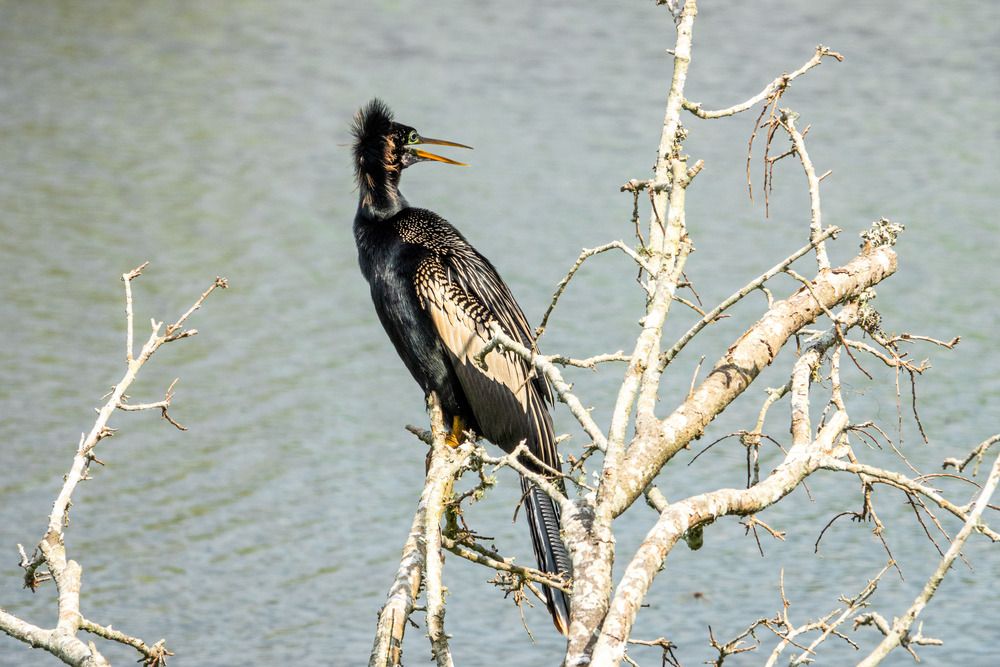 Photograph by Анатолий Костерев