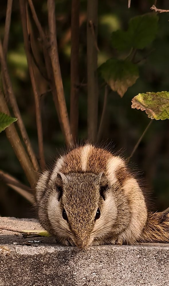 Photograph by Amol Gupte