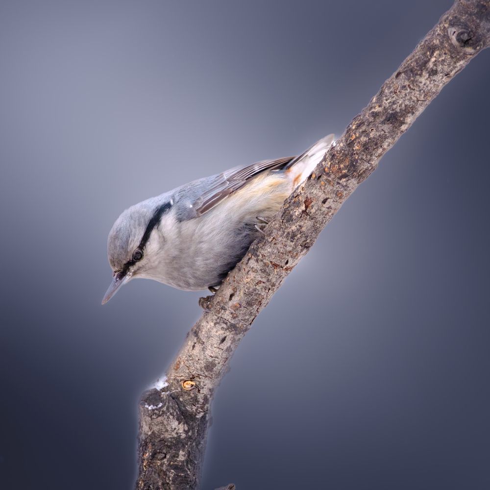 Photograph by Константин Белоногов