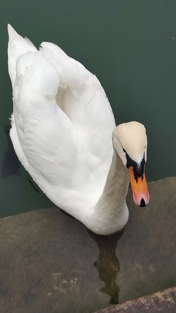 Photograph by Полина Скурская