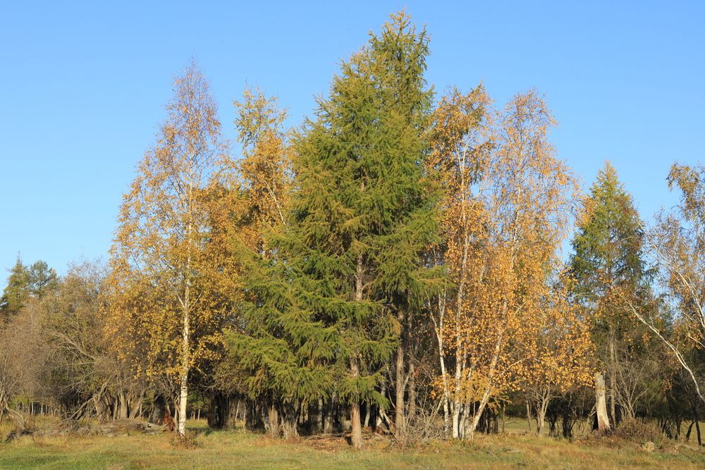 Начало осени.