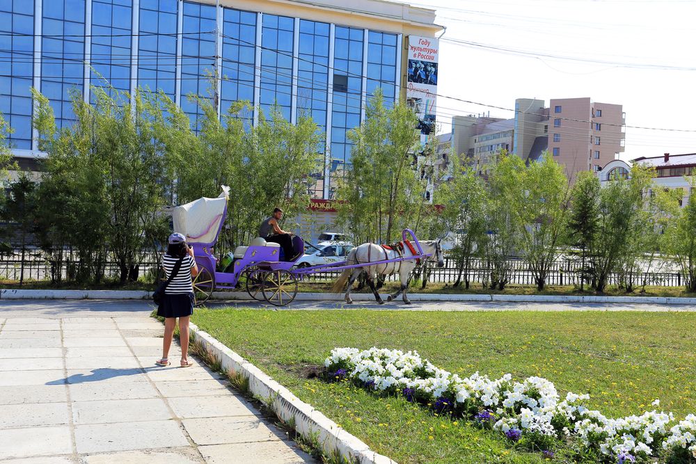 Внучка фотографиня.