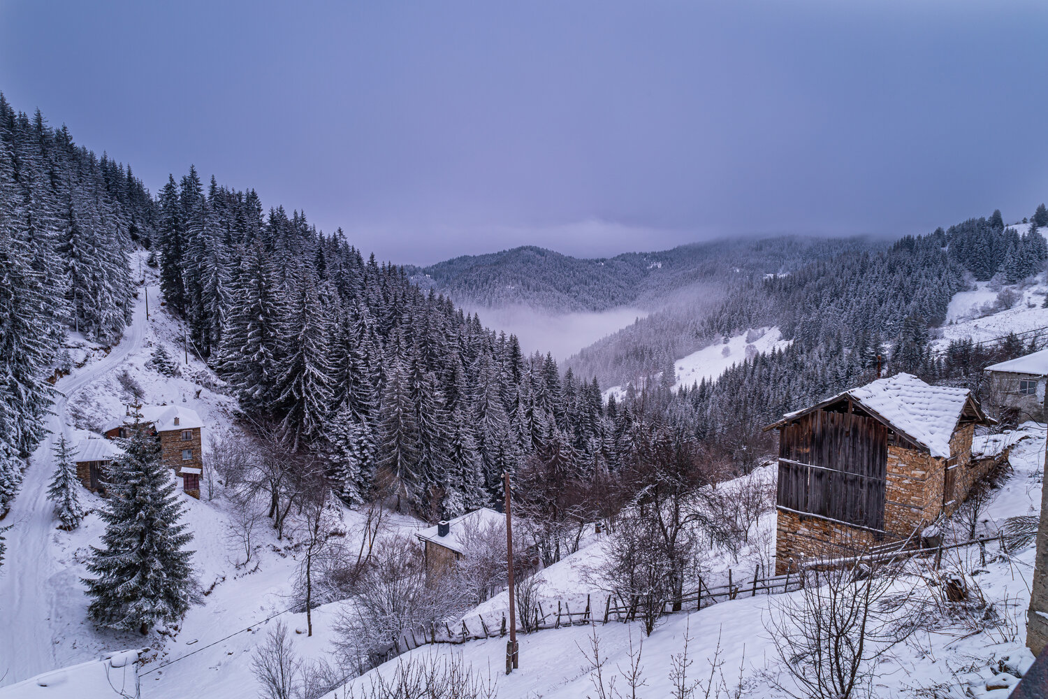 Silent winter