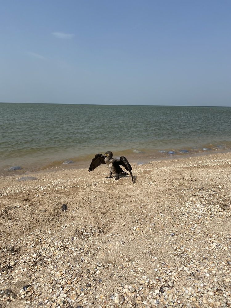 Photograph by Александра Бусарова