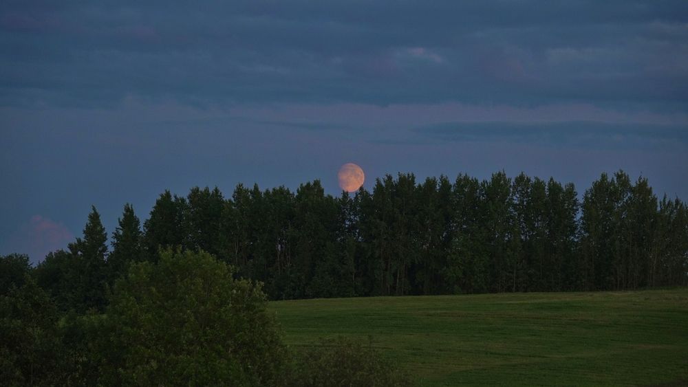 Photograph by Александр Климов