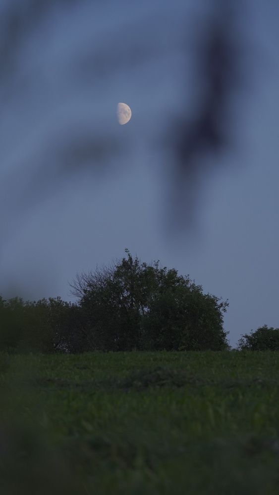 Photograph by Александр Климов