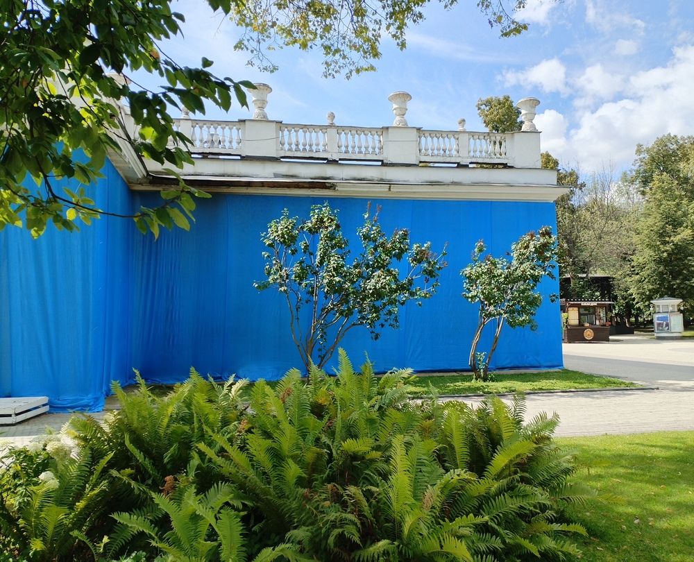 Фотография автора Елена Эйнова