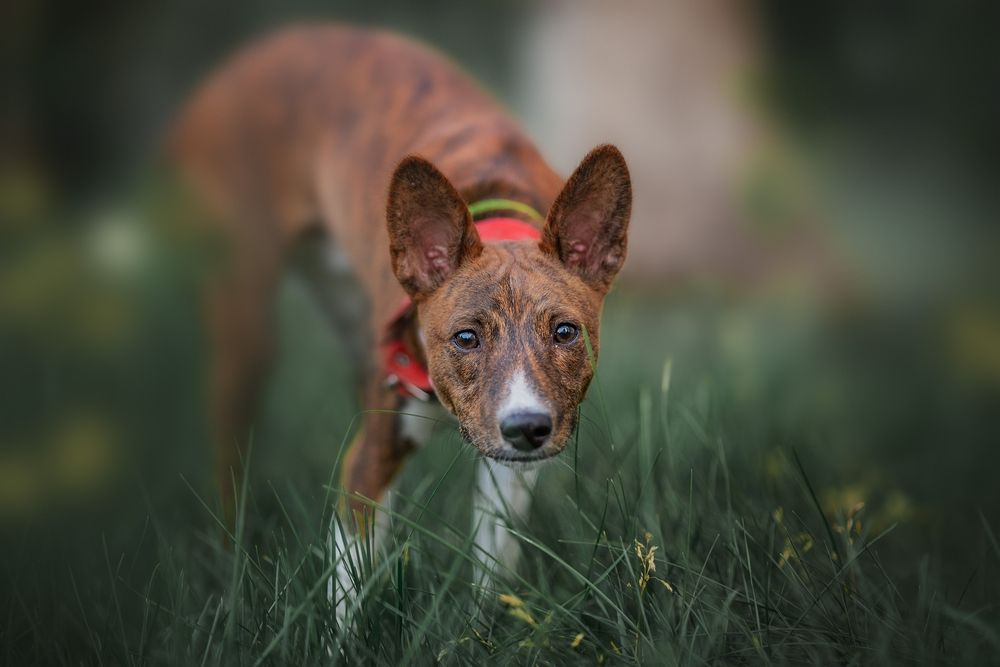 Photograph by Наталия Матвеева