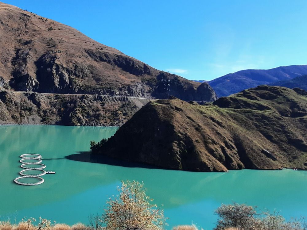 Photograph by Елена