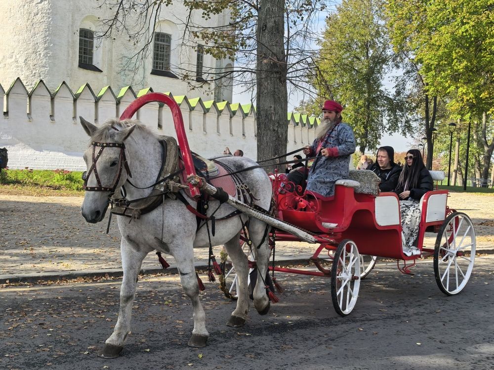 Фотография автора Елена Охапкина