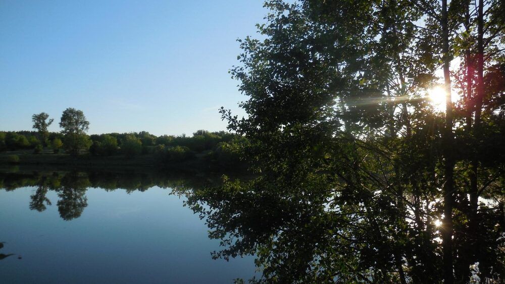 Фотография автора Павел Попов