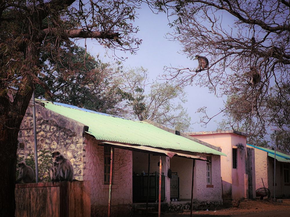 Photograph by Ronak Dawne