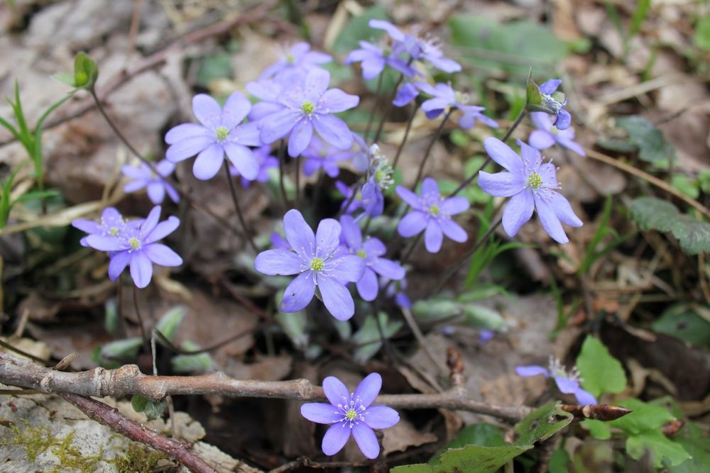 Photograph by Olga Bagaeva