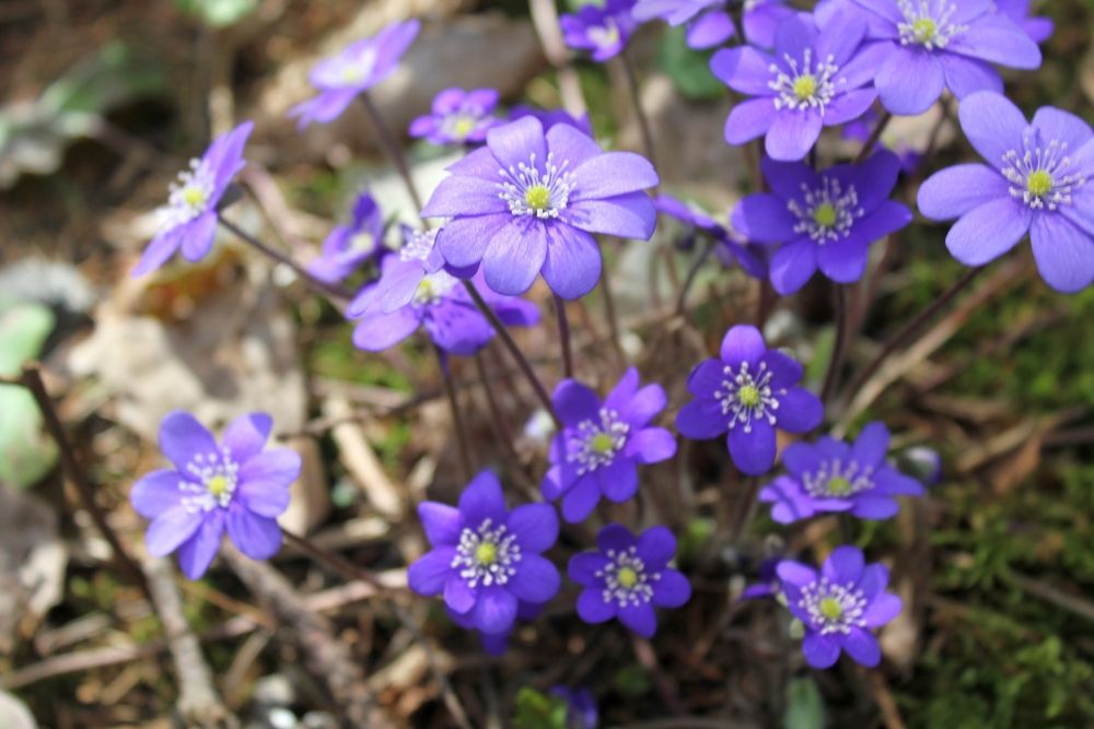 Photograph by Olga Bagaeva