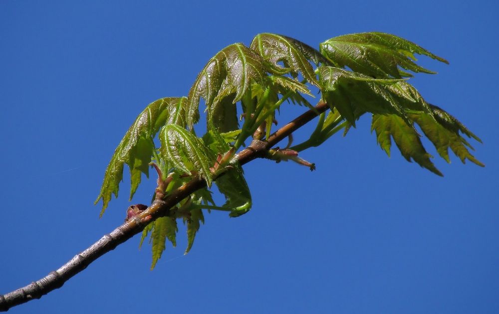 Photograph by Савоцкий Роман