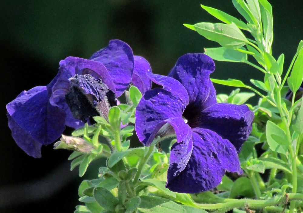 Photograph by Савоцкий Роман