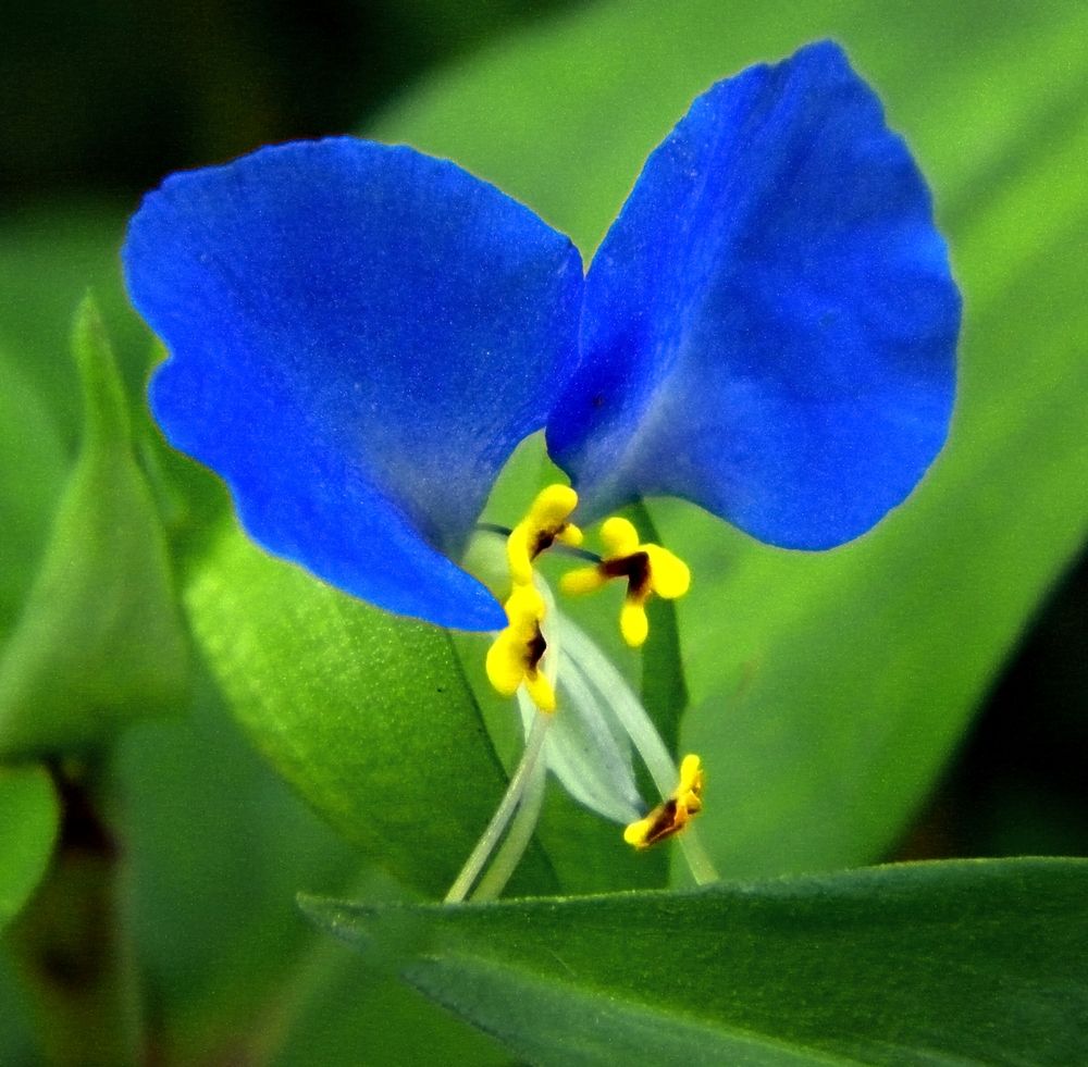 Photograph by Савоцкий Роман