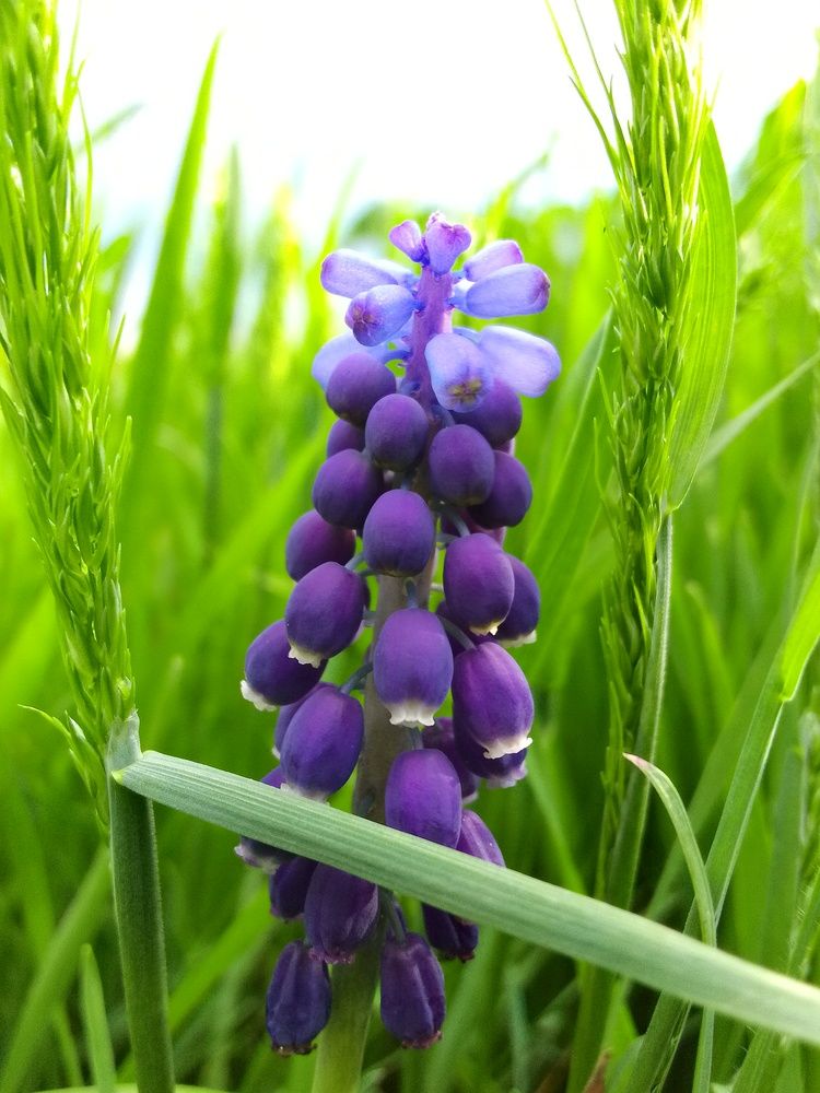 \"Красавчик\"