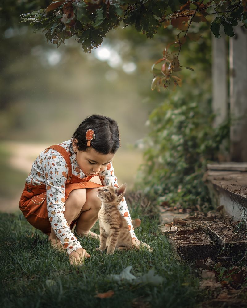 Photograph by Meilleurs Moments