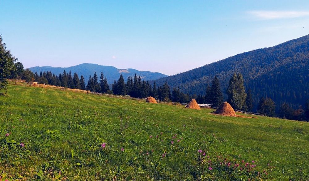 Фотография автора Роман Савоцкий
