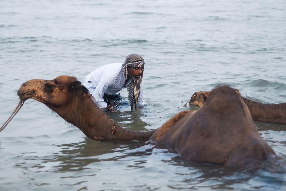 Photograph by Taha heydari