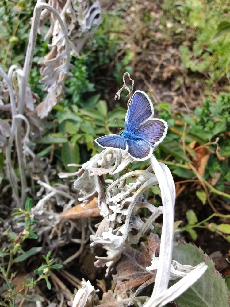 \"Красота простоты\"