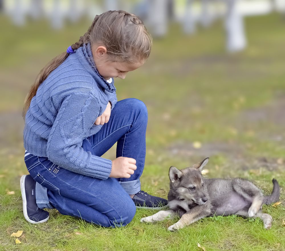 Photograph by БОРИС АНТОНОВ