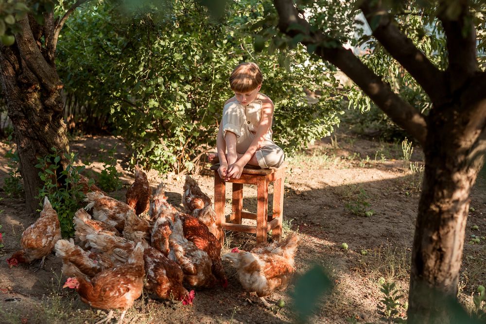 Photograph by Савёлова Екатерина