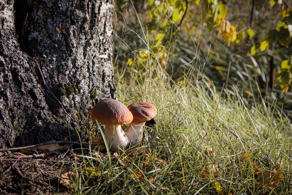 Photograph by Зеленько Дмитрий