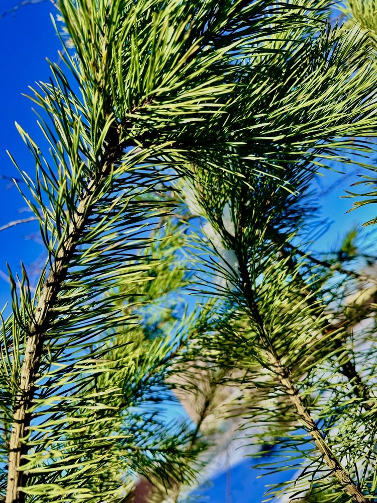 Фотография автора Татьяна