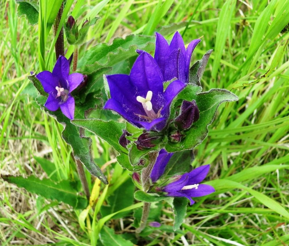 Photograph by Елена Казарина