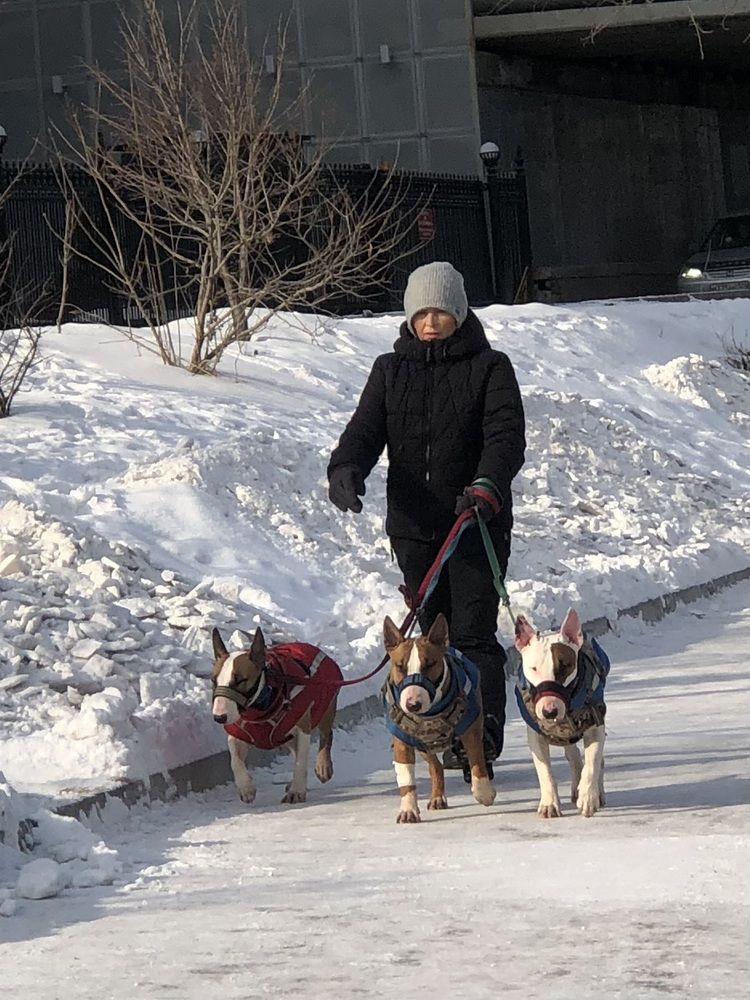 Фотография автора Светлана Гончарова