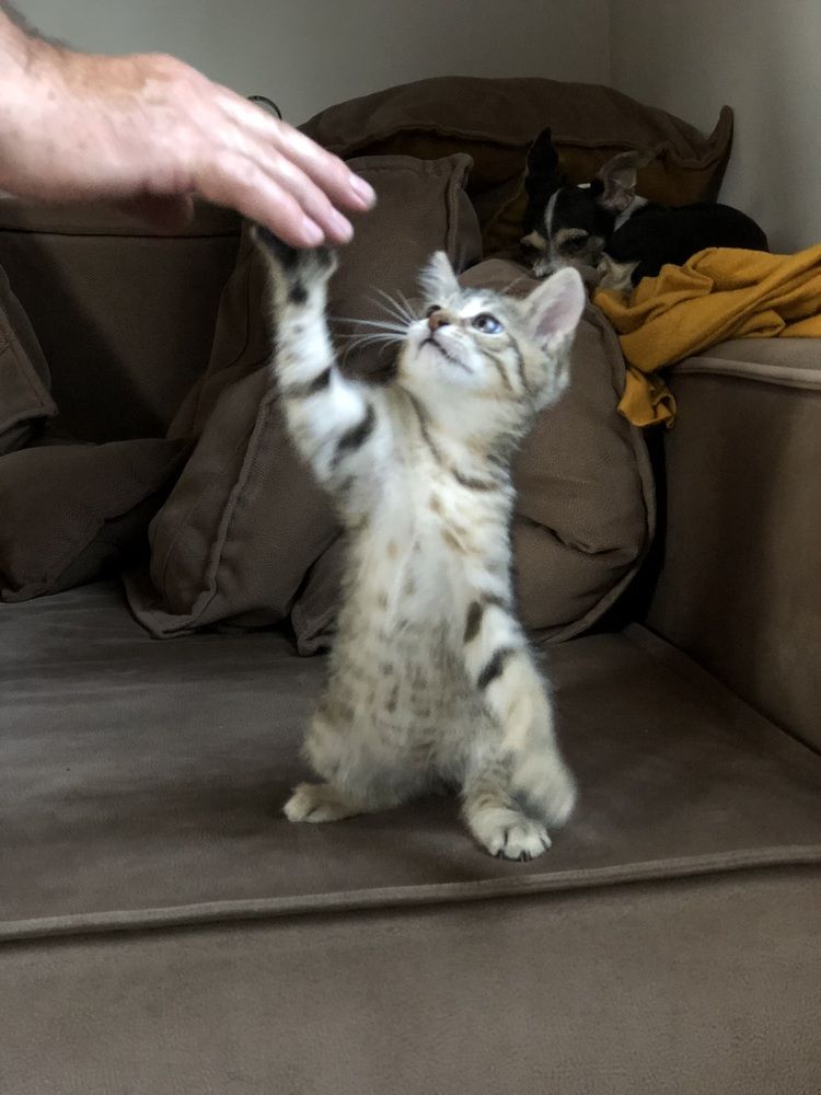 Фотография автора Светлана Гончарова