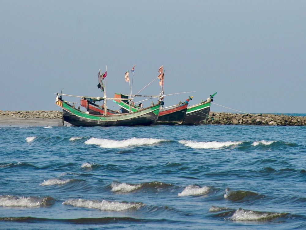 Фотография автора Washiful Majid