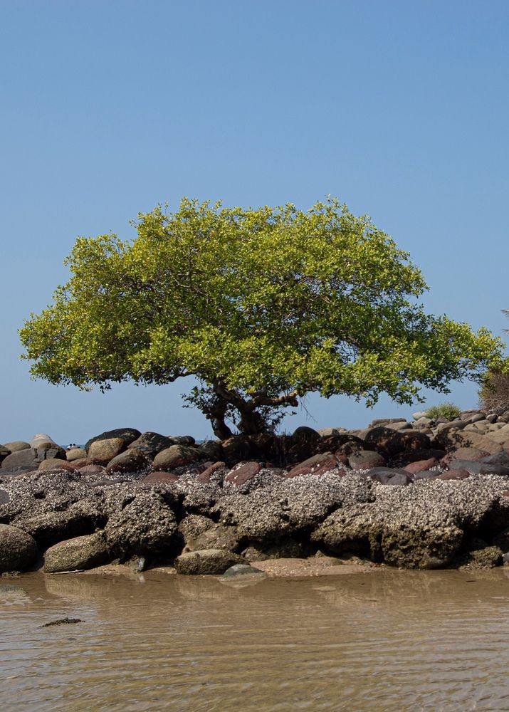 Photograph by Анна Васильева