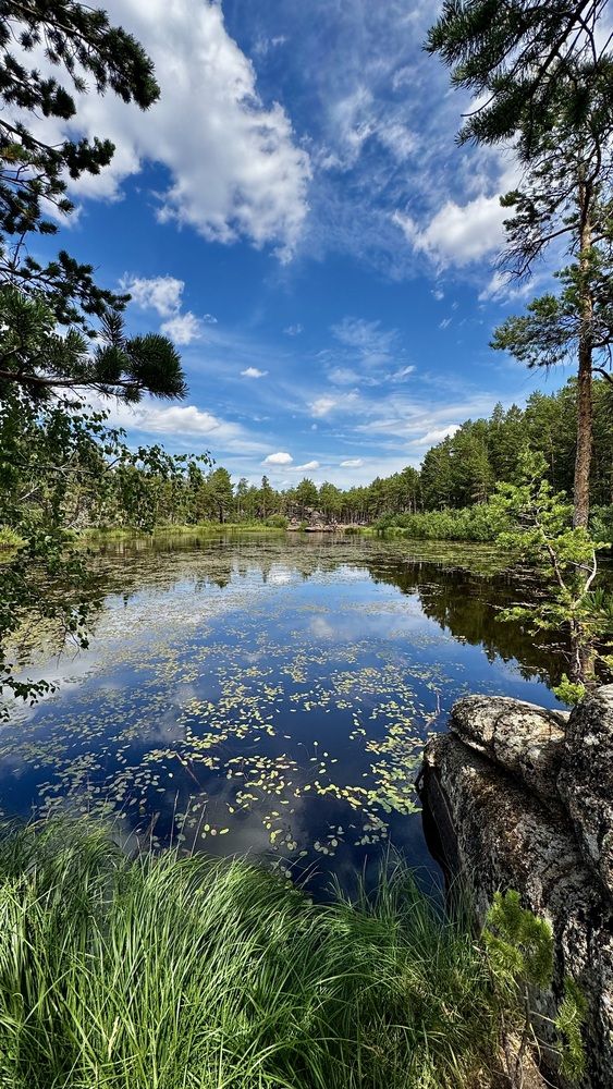 Photograph by Ольга Бибекина