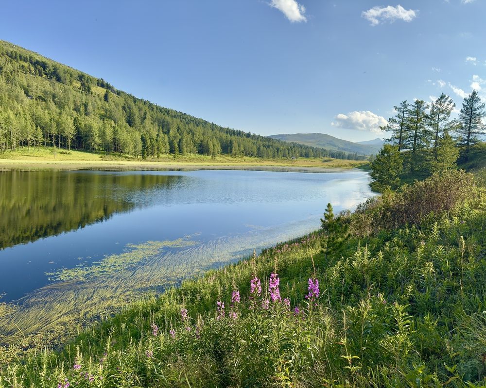 Photograph by Ольга Бибекина