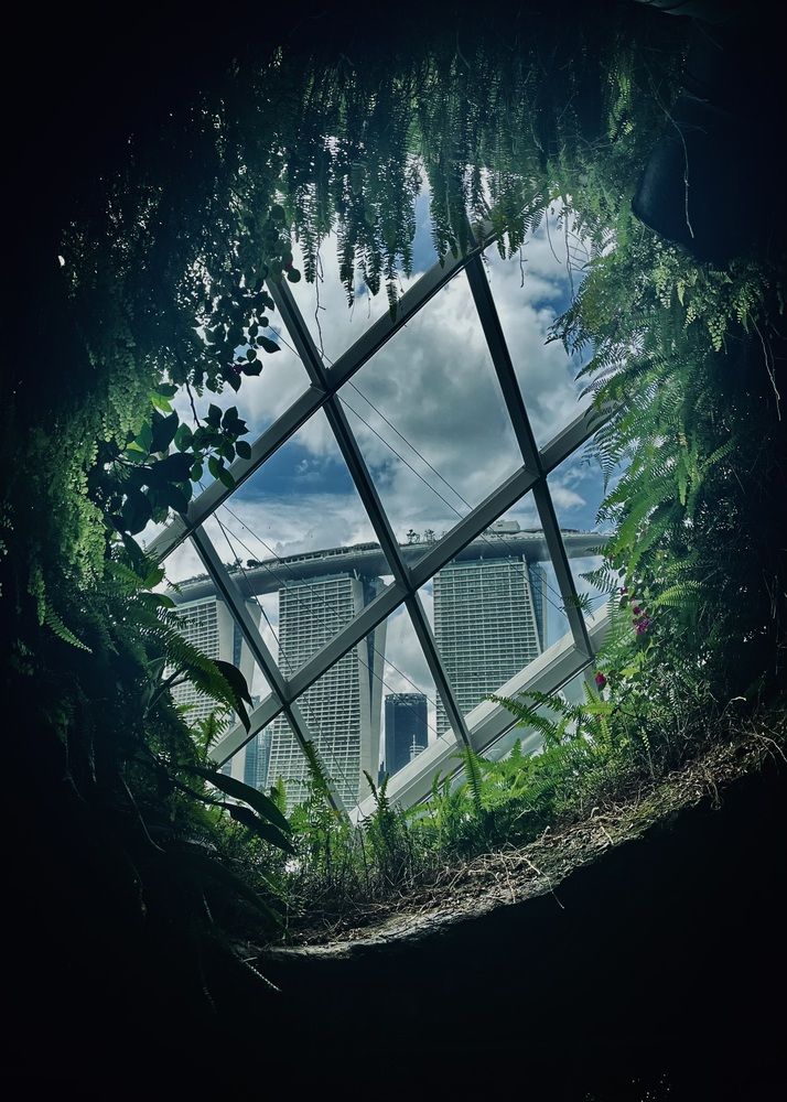 Photograph by Ольга Белоусова