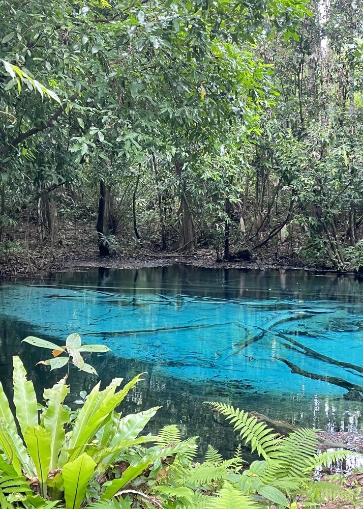 Photograph by Ольга Белоусова