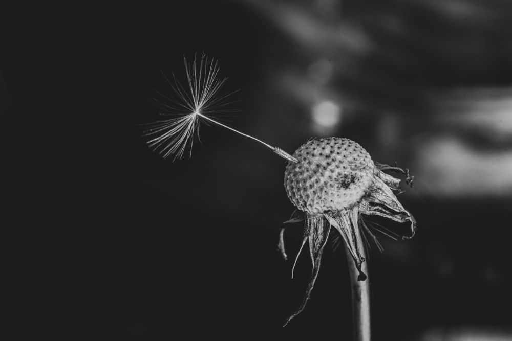 Photograph by Виталий Маслов