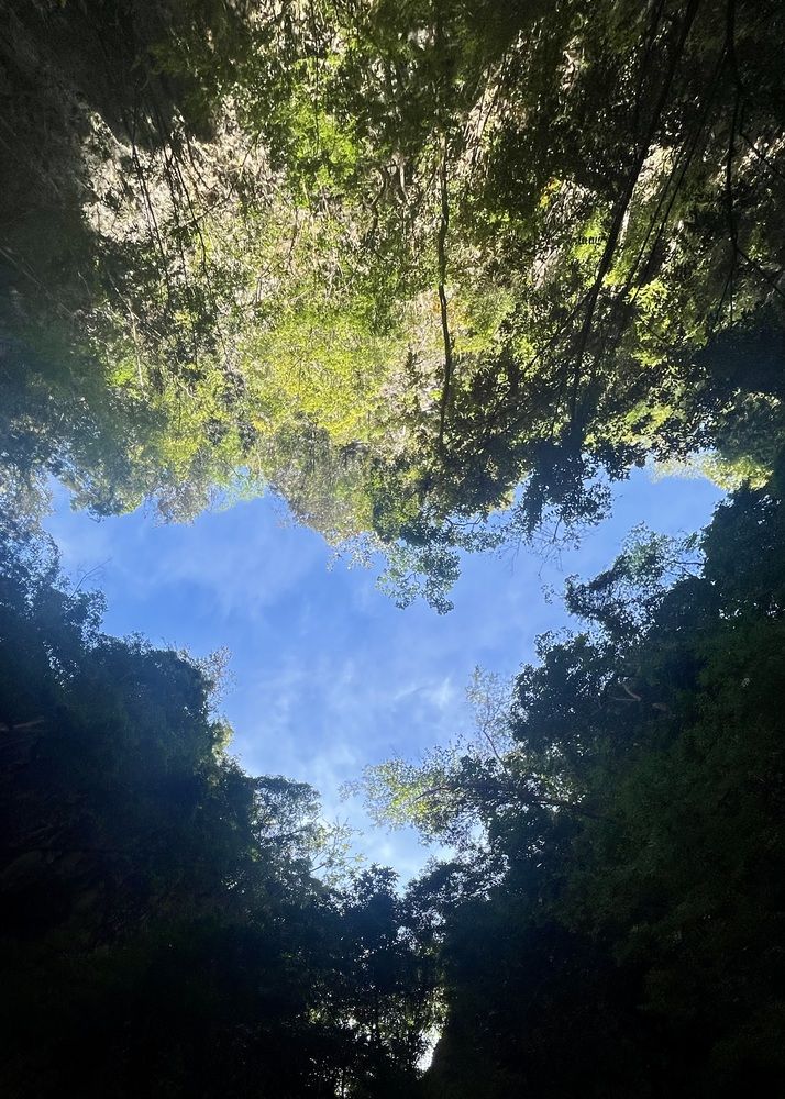 Photograph by Ольга Белоусова