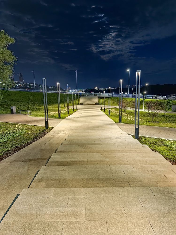 Ночная гармония