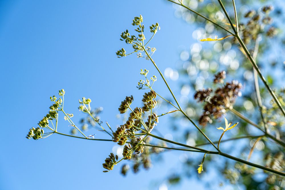 Photograph by Алексей Поликарпов