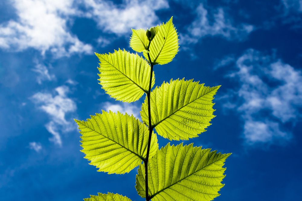 Photograph by Владимир Говоров
