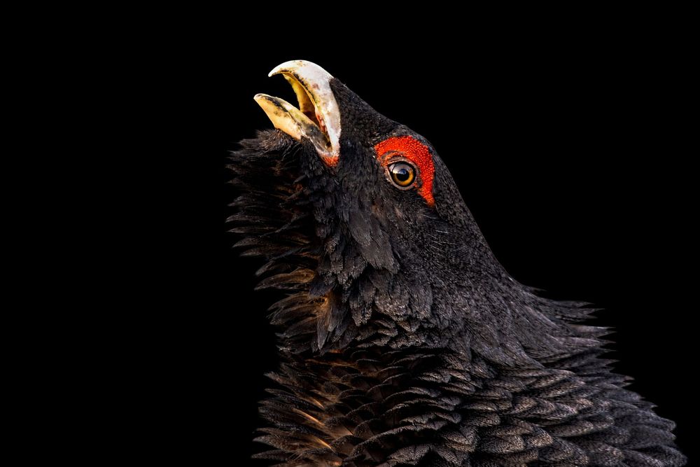 Photograph by Dace Spalvina