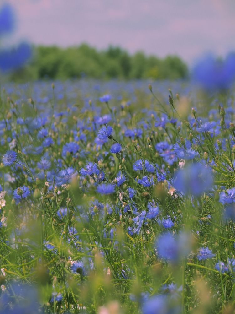 Фотография автора Игорь Сухаревич