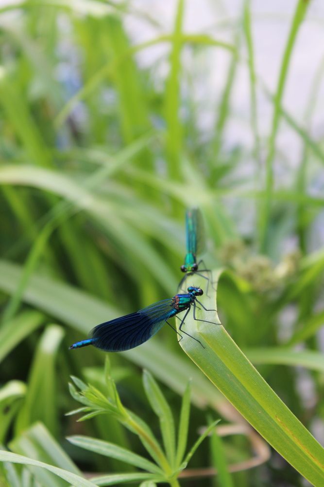Photograph by Елена Коробченко