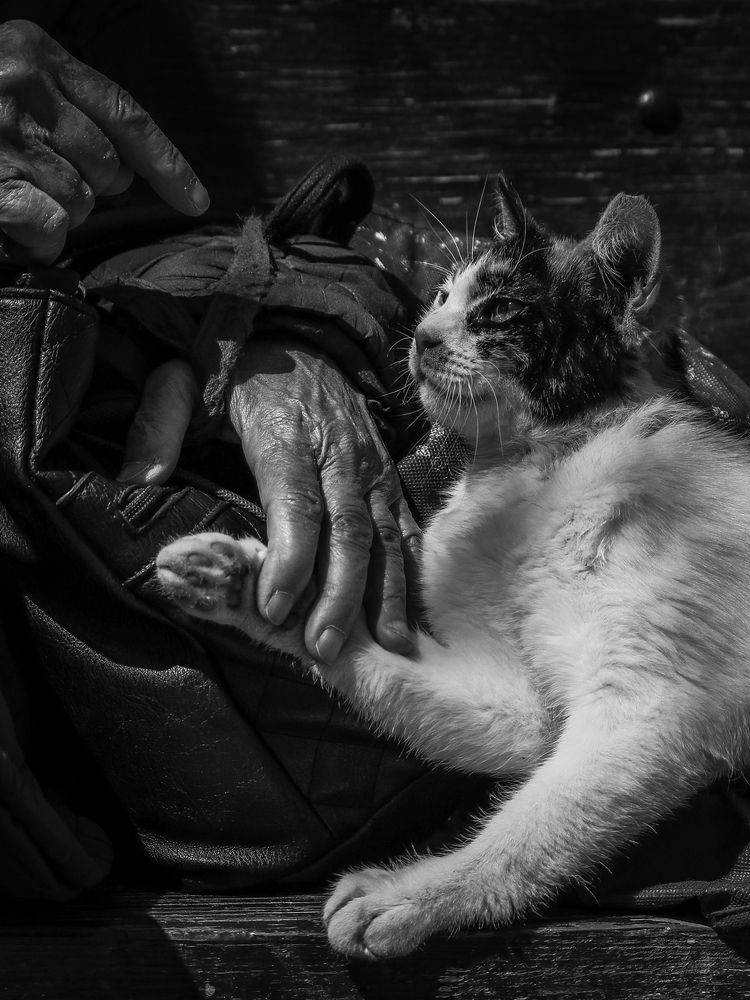 Photograph by Георгий Акопджанов