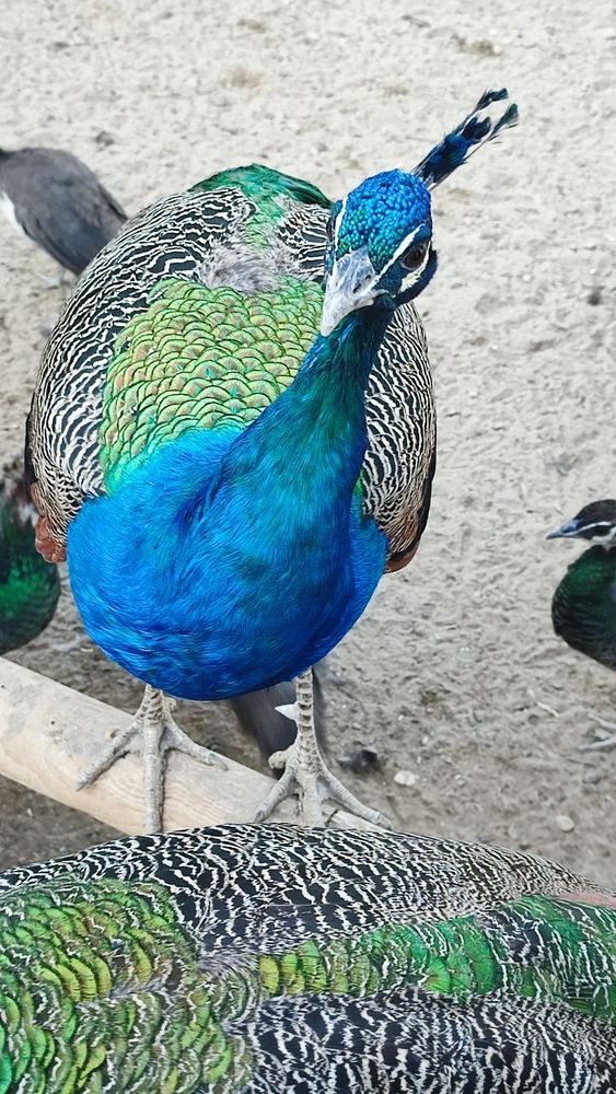 Photograph by Полина Скурская